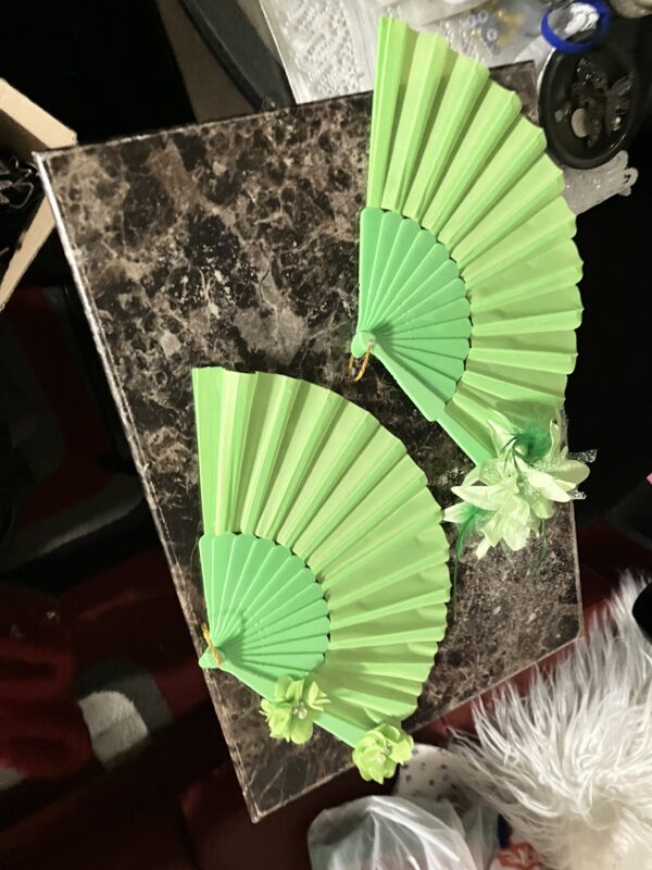 Small Fan